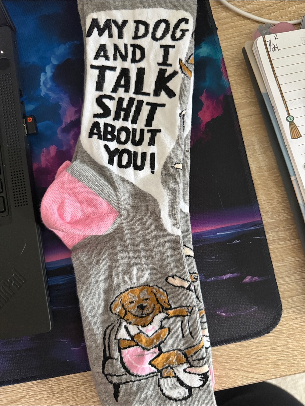 New “My Dog & I talk **** About You” socks.